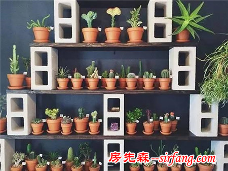 她将大家看不上眼的空心砖捡回家，摆好后，看见的都跑去搬砖了