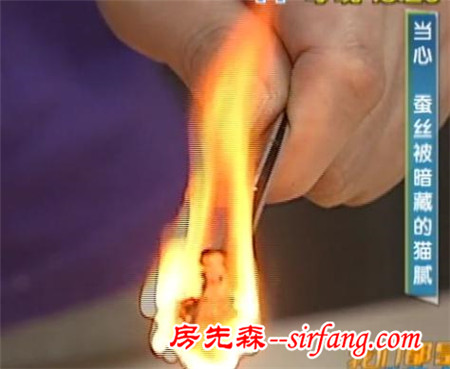 你盖的蚕丝被有可能是低质柞蚕丝！专业人士教你N种方法鉴别真假蚕丝