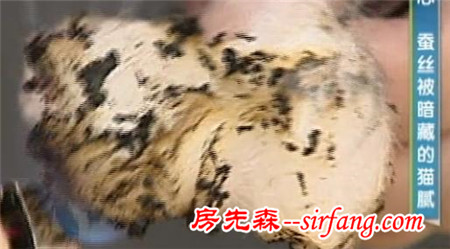 你盖的蚕丝被有可能是低质柞蚕丝！专业人士教你N种方法鉴别真假蚕丝