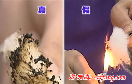 你盖的蚕丝被有可能是低质柞蚕丝！专业人士教你N种方法鉴别真假蚕丝