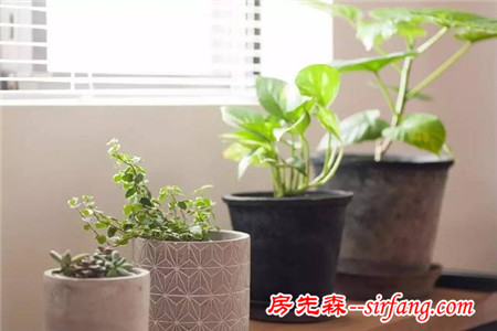 與其追求表面的虛榮，不如尋找內(nèi)心的閑適