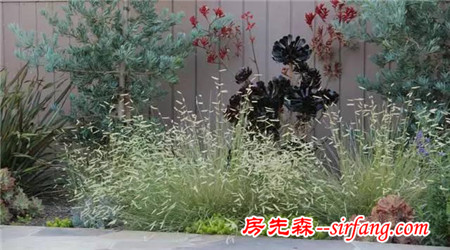 “花境”案例大本营，附部分花境植物材料！