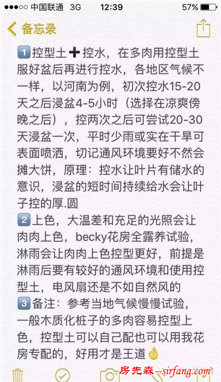 阳台上也能养出又粉又肥的肉肉，附本人控型上色法~