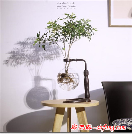 怎么給水培綠植挑一個(gè)好看又有創(chuàng)意的花盆？