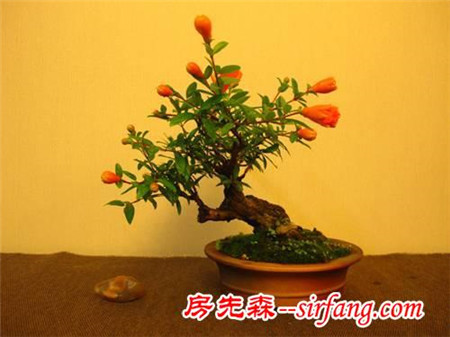 它們的存在，讓這個(gè)秋季不再蕭瑟