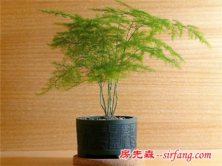 它們的存在，讓這個(gè)秋季不再蕭瑟