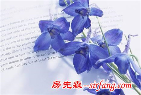 它們的存在，讓這個(gè)秋季不再蕭瑟