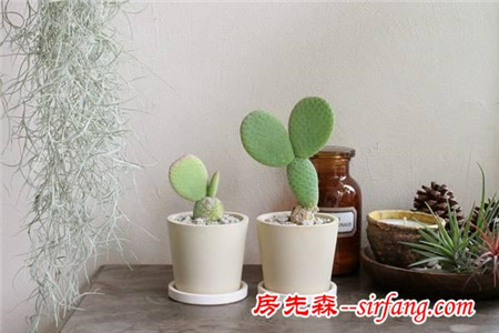 它們的存在，讓這個(gè)秋季不再蕭瑟