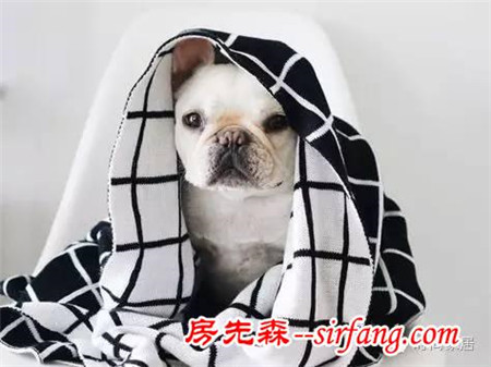 冷吗？好毯子给你最温暖的拥抱，扔在那还是绝美装饰！