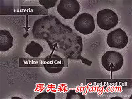 装修产生的污染真的会使人患白血病吗？