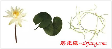 去燥、安眠、赏玩秋食的花艺 | 秋季课堂