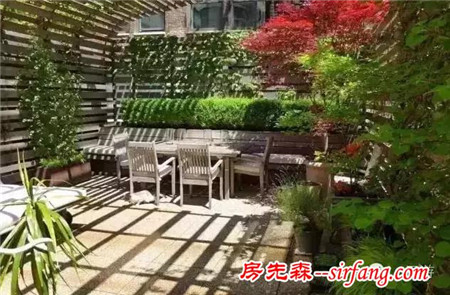 真的羨慕家中有院子的朋友！ 美哭了!