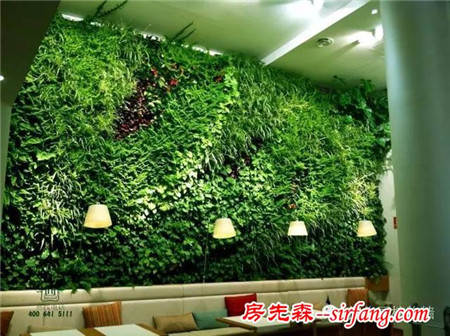 植物墙有八大美之所在，每一处都可以是最美！