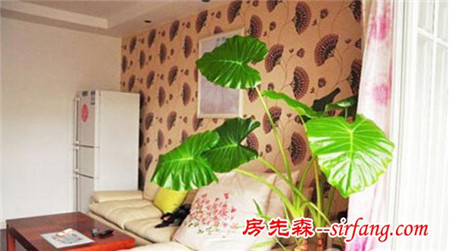 港真 被群租過(guò)的老公房裝成這樣太不容易了(圖)