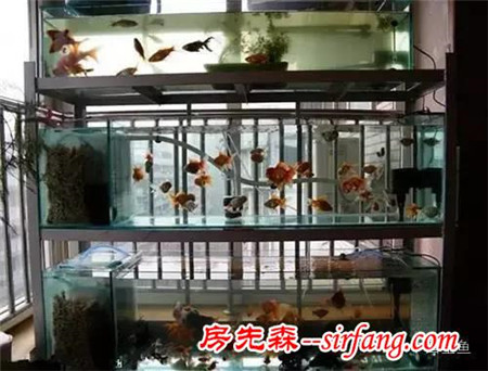 陽(yáng)臺(tái)原來(lái)可以這么美，后悔當(dāng)初沒(méi)這么裝！