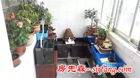 陽(yáng)臺(tái)原來(lái)可以這么美，后悔當(dāng)初沒(méi)這么裝！