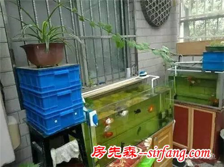 陽(yáng)臺(tái)原來(lái)可以這么美，后悔當(dāng)初沒(méi)這么裝！