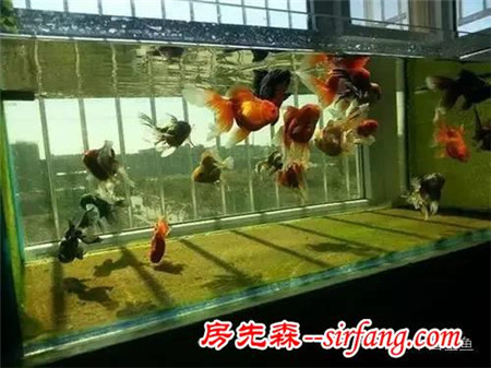 陽(yáng)臺(tái)原來(lái)可以這么美，后悔當(dāng)初沒(méi)這么裝！