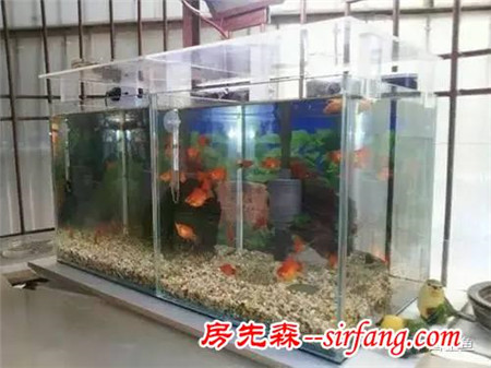 陽(yáng)臺(tái)原來(lái)可以這么美，后悔當(dāng)初沒(méi)這么裝！