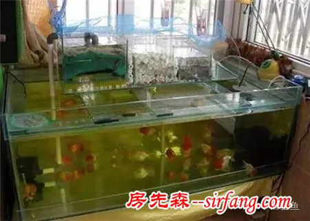 陽(yáng)臺(tái)原來(lái)可以這么美，后悔當(dāng)初沒(méi)這么裝！