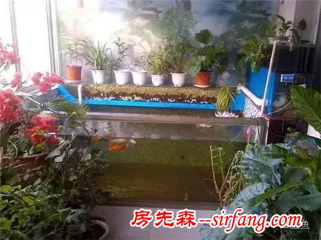 陽(yáng)臺(tái)原來(lái)可以這么美，后悔當(dāng)初沒(méi)這么裝！