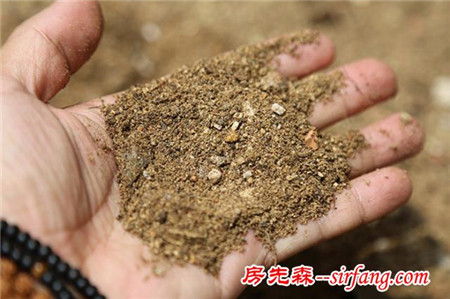 多肉植物多久换一次土？还是说不用换？