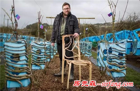 十年时间，他在地里种出四百把椅子，一把卖几万元