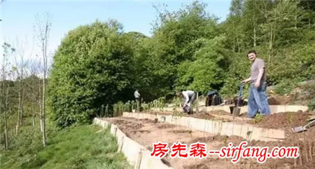 十年时间，他在地里种出四百把椅子，一把卖几万元