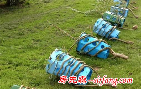 十年时间，他在地里种出四百把椅子，一把卖几万元