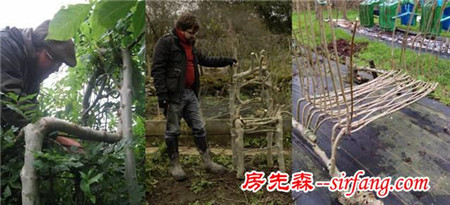 十年时间，他在地里种出四百把椅子，一把卖几万元