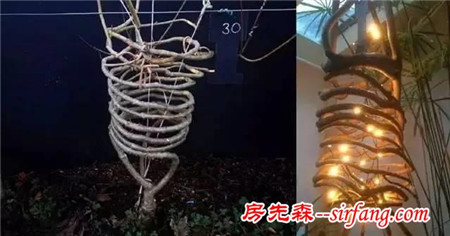 十年时间，他在地里种出四百把椅子，一把卖几万元