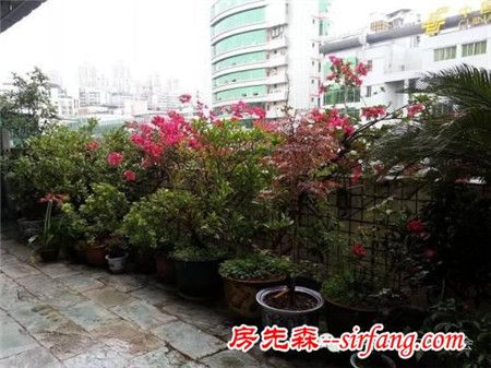 我愛我家家庭文化藝術節(jié)線上展示活動之最美陽臺