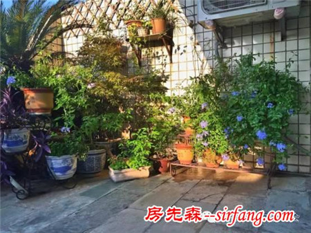 我愛我家家庭文化藝術節(jié)線上展示活動之最美陽臺