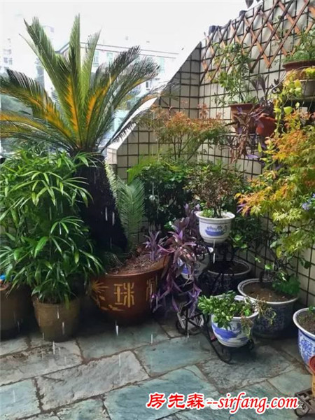 我愛我家家庭文化藝術節(jié)線上展示活動之最美陽臺