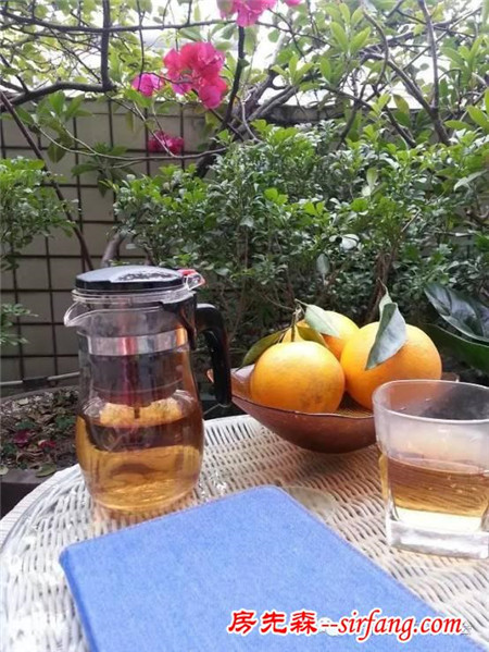 我愛我家家庭文化藝術節(jié)線上展示活動之最美陽臺