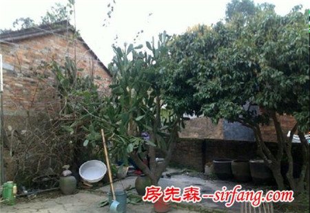 惠州小伙回農(nóng)村蓋婚房 深圳樓市瘋漲稱(chēng)一點(diǎn)都不后悔