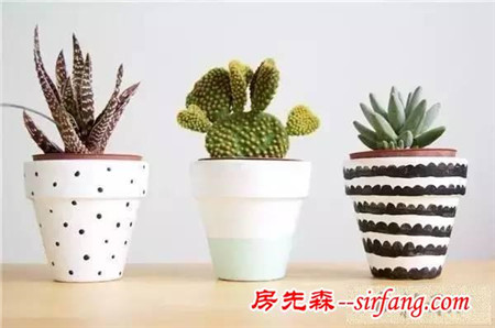 手工DIY | 教你不花一分钱做盆栽！