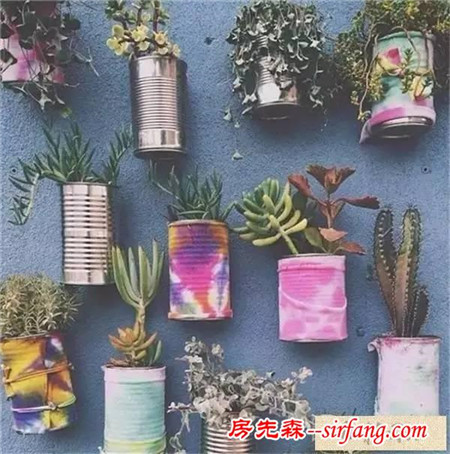手工DIY | 教你不花一分钱做盆栽！