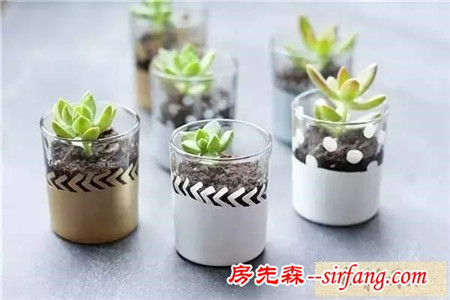 手工DIY | 教你不花一分钱做盆栽！