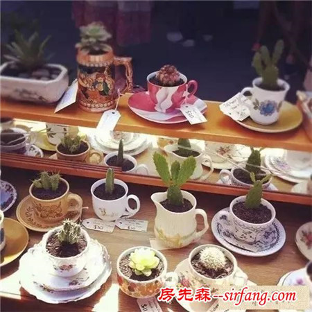 手工DIY | 教你不花一分钱做盆栽！