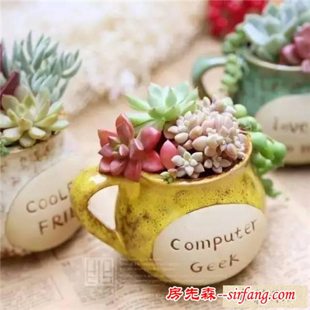 手工DIY | 教你不花一分钱做盆栽！