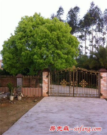 惠州小伙回農(nóng)村蓋婚房 深圳樓市瘋漲稱(chēng)一點(diǎn)都不后悔