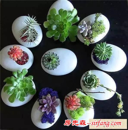 手工DIY | 教你不花一分钱做盆栽！