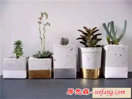 手工DIY | 教你不花一分钱做盆栽！