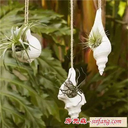 手工DIY | 教你不花一分钱做盆栽！