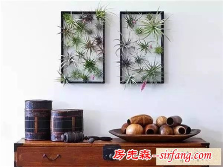 手工DIY | 教你不花一分钱做盆栽！
