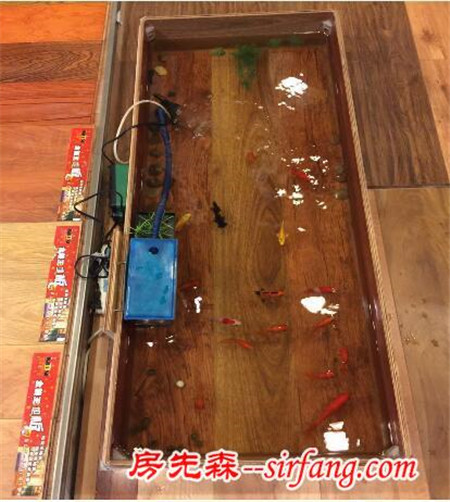 马德兰地板：能做成鱼缸养鱼的防水木地板，你见过么？