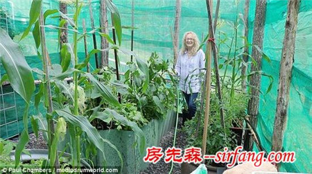 英男子澳洲荒野生存 牛逼改造集装箱变豪宅！