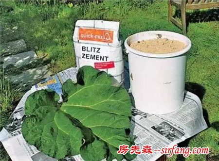 哪些材料可以制作花盆？有什么好方法？