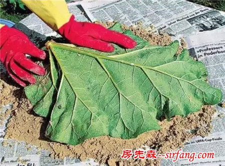 哪些材料可以制作花盆？有什么好方法？